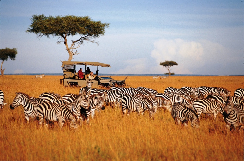 Destinos luna de miel Safari África Tanzania