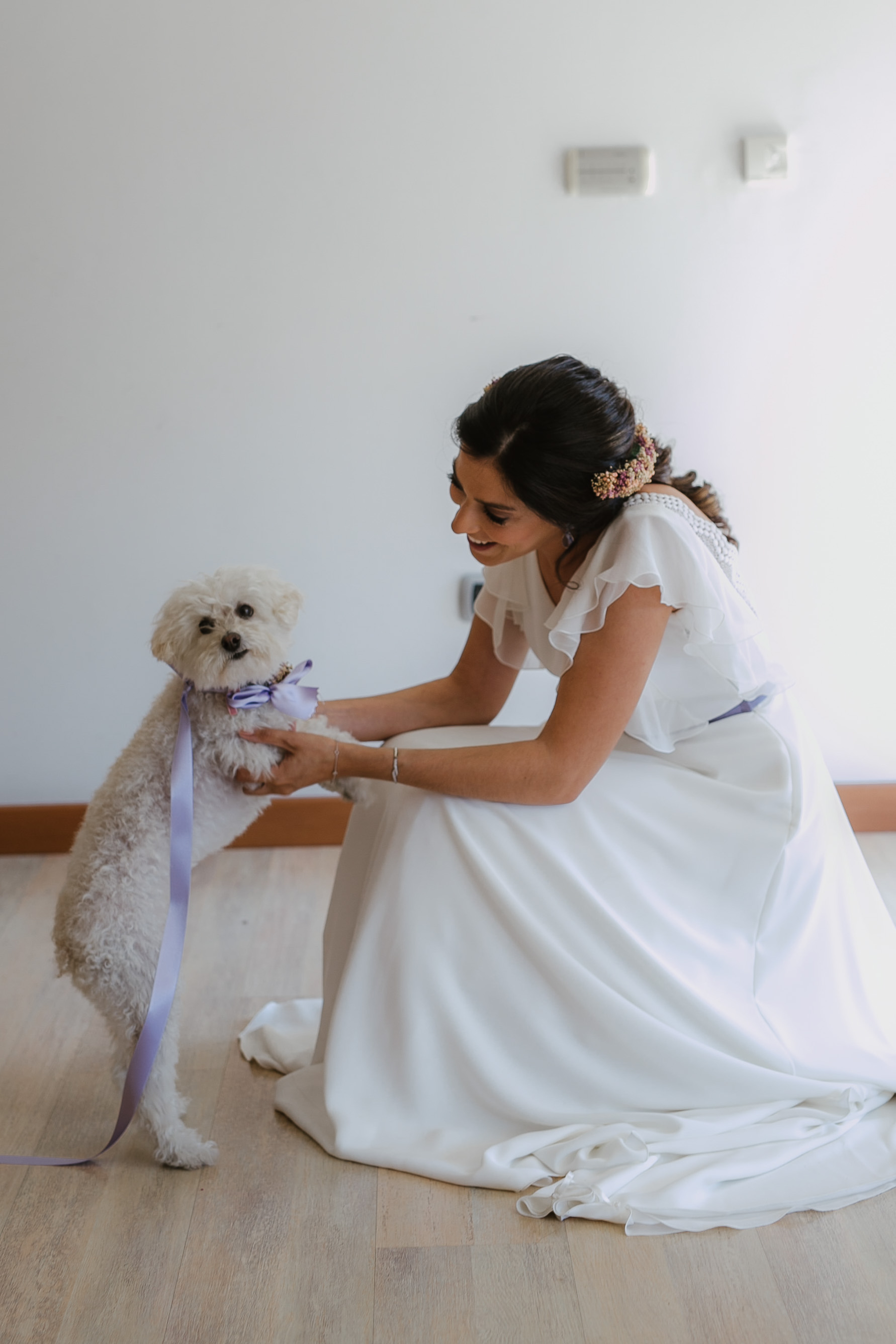perro novia boda