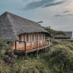 campamento safari tanzania